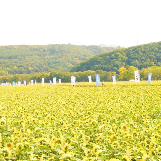 Photo of オホーツク網走マラソン - 3 / 5