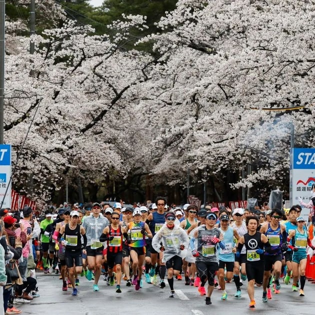 Photo of あおもり桜マラソン - 1 / 24