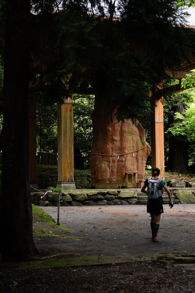 Photo of ASO VOLCANO TRAIL - 5 / 35