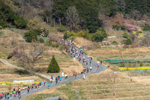 Photo of 飛鳥ハーフマラソン - 1 / 13