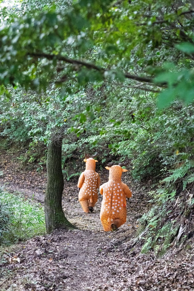 Photo of BAMBI100 - 3 / 21