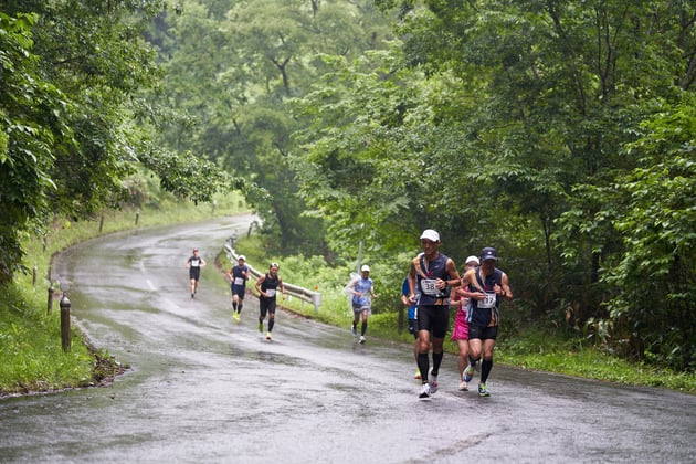 Photo of 白神山地ブナの森マラソン - 1 / 15