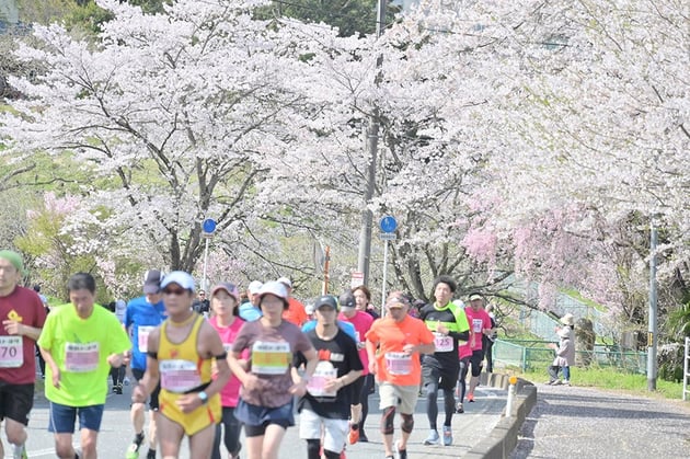 Photo of 伊達ももの里マラソン - 1 / 8