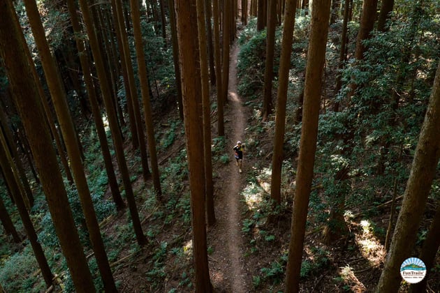 Photo of FunTrails Round 秩父＆奥武蔵 100MILE/100K/50K - 4 / 62