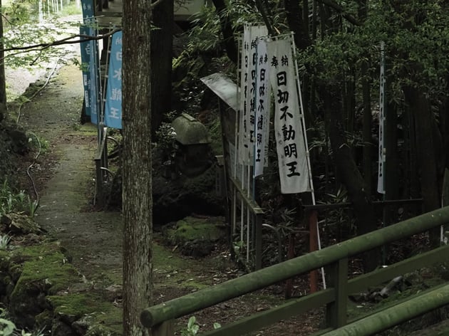 Photo of ふどうの森トレイルラン - 5 / 15