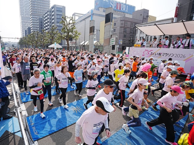 Photo of ふくい桜マラソン - 1 / 25