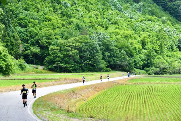 Photo of 飛騨高山ウルトラマラソン - 5 / 8