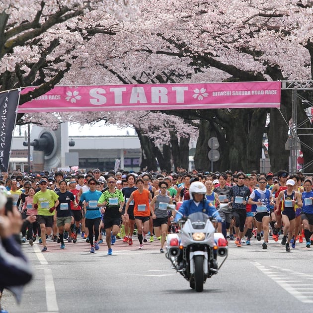 Photo of 日立さくらロードレース - 5 / 8