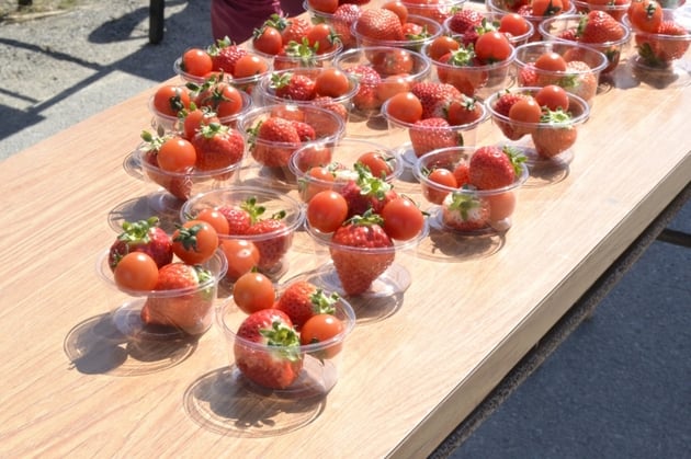 Photo of 横島いちごマラソン大会/玉名いだてんマラソン - 5 / 32