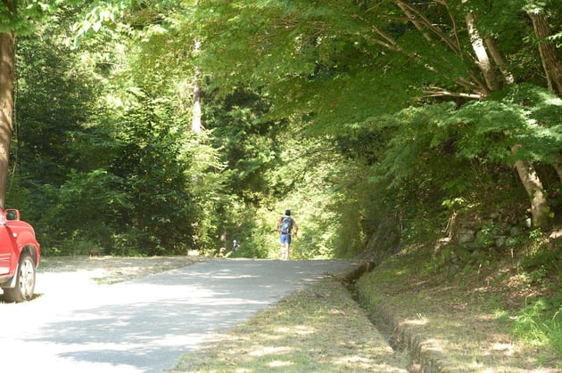 Photo of 生駒トレイルラン<夏山> - 4 / 9