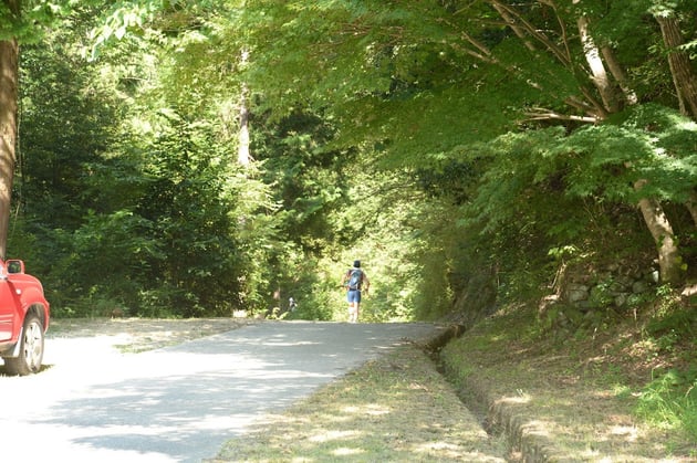 Photo of 生駒トレイルラン＜夏山＞ - 4 / 9