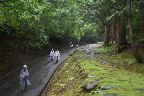 Photo of 勝山恐竜クロカンマラソン - 3 / 15