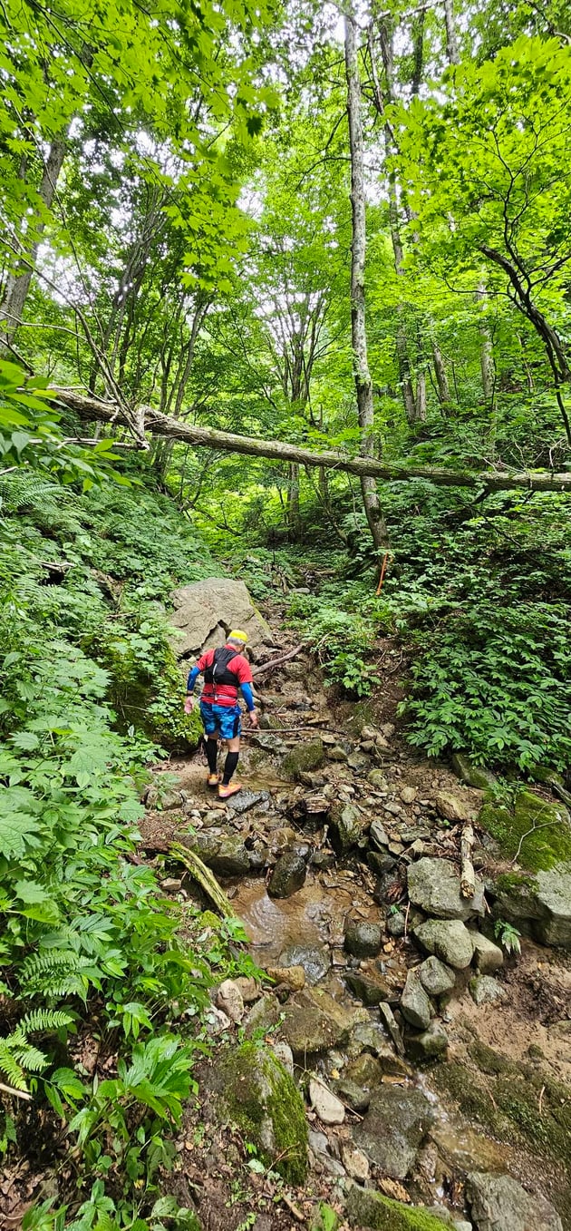 Photo of 鹿角花輪トレイル - 2 / 28