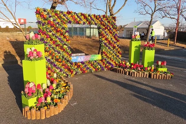 Photo of 鴻巣パンジーマラソン - 4 / 18