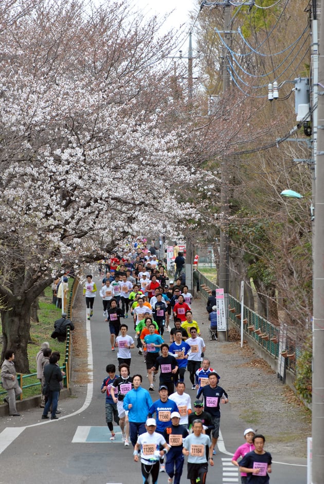 Photo of 熊谷さくらマラソン大会 - 1 / 1