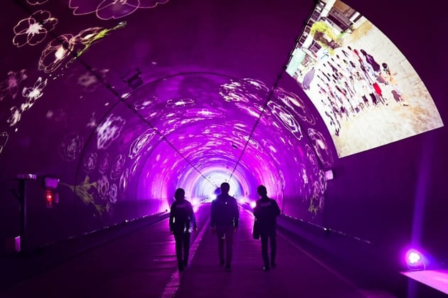 Photo of みえ松阪マラソン - 1 / 57