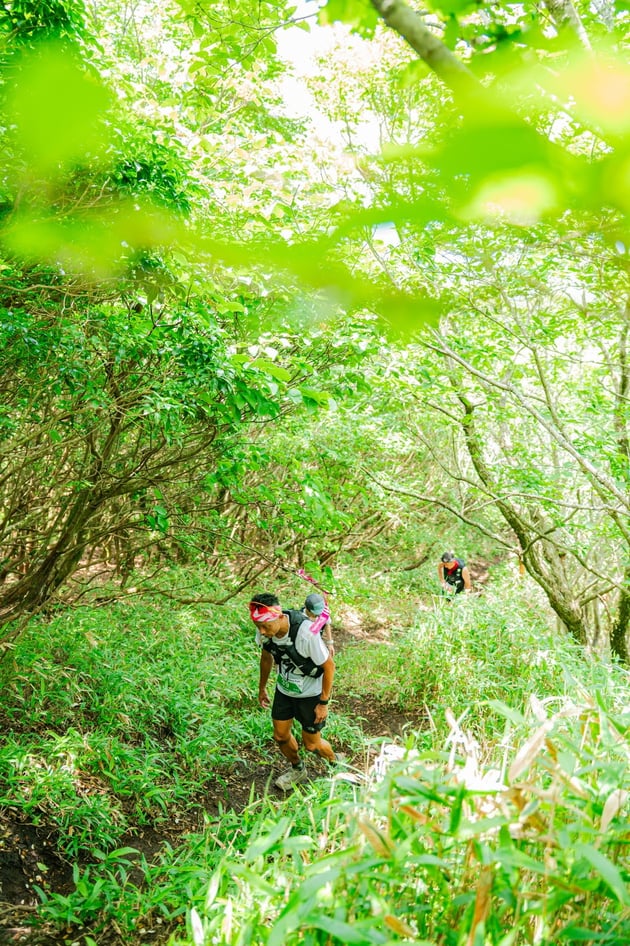 Photo of 南阿蘇カルデラトレイル - 2 / 48