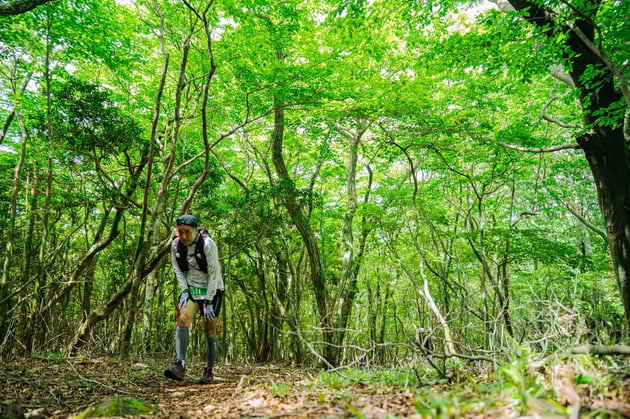 Photo of 南阿蘇カルデラトレイル - 4 / 48