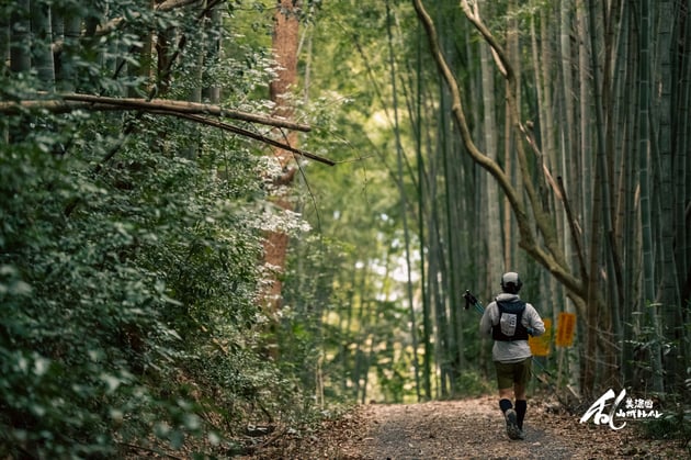 Photo of 美濃國 山城トレイル乱 - 3 / 27