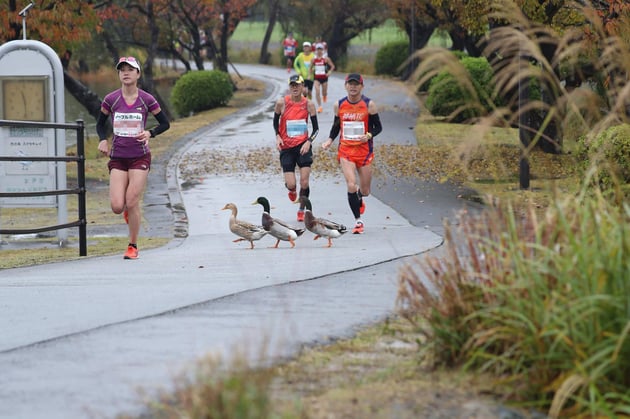 Photo of 水戸黄門漫遊マラソン - 2 / 64