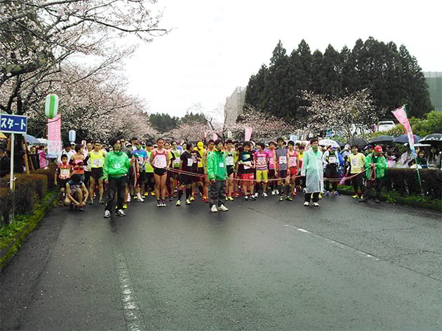 Photo of 都城さくらマラソン大会 - 1 / 1