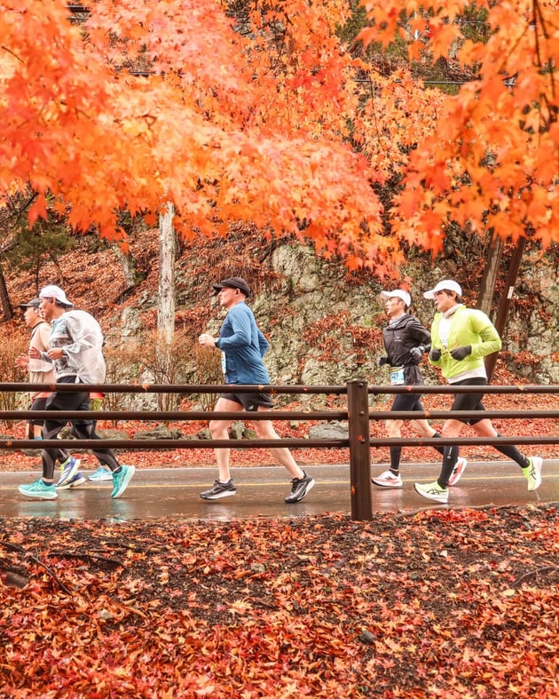 Photo of 富士山マラソン - 1 / 23