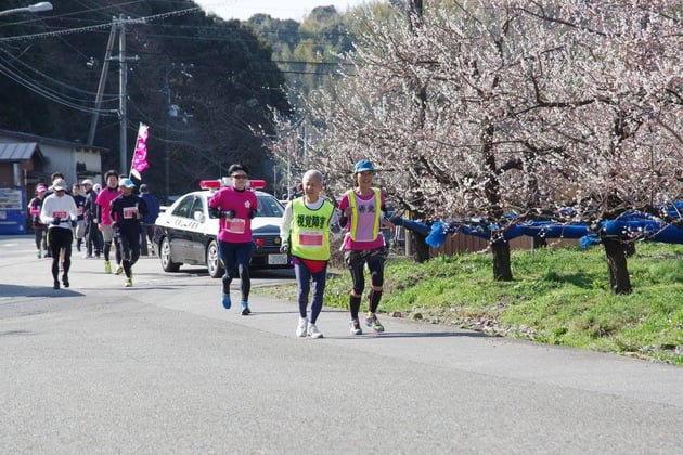 Photo of 南紀田辺UMEロードマラソン - 2 / 16