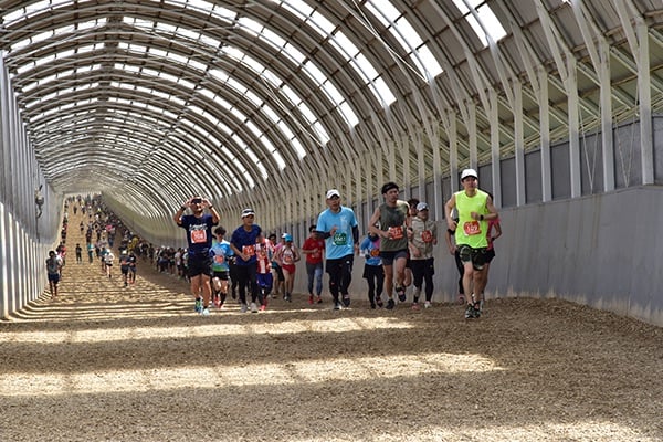 Photo of ノーザンホースパークマラソン - 1 / 1