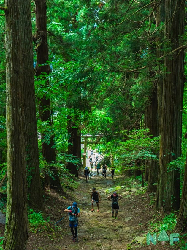 Photo of Nozawa Trail Fes - 1 / 52