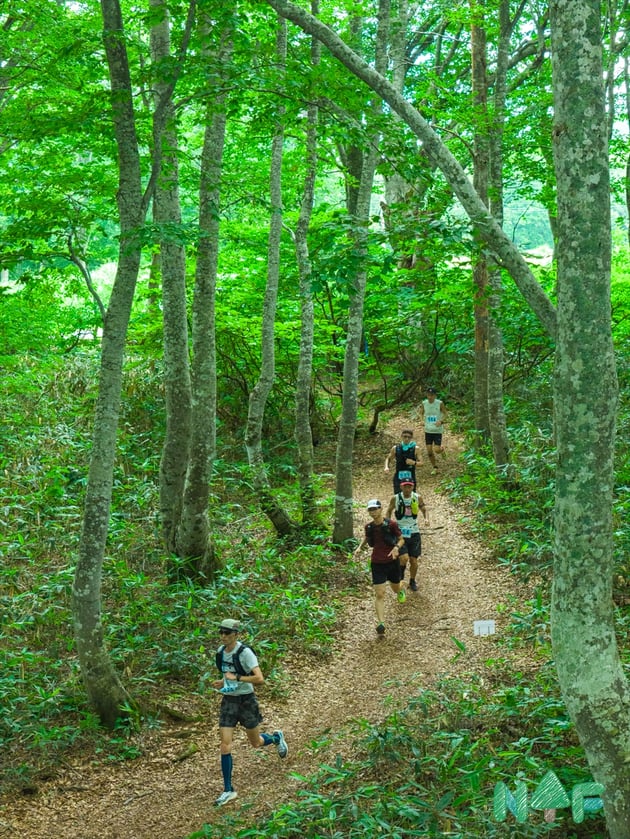 Photo of Nozawa Trail Fes - 5 / 52