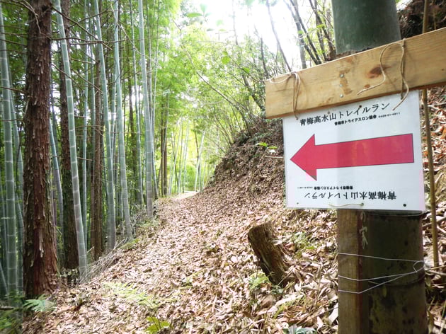 Photo of 青梅高水パラチノース国際トレイルラン - 3 / 13