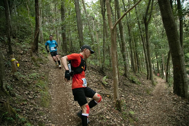 Photo of OSJ新城トレイル - 5 / 40