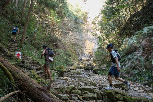 Photo of OSJ新城トレイル - 1 / 40