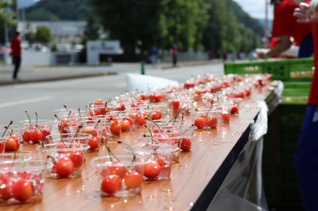 Photo of 果樹王国ひがしね さくらんぼマラソン大会 - 5 / 28