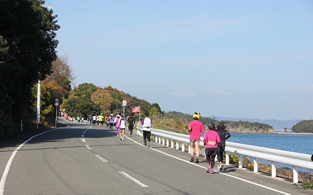 Photo of 瀬戸内海タートル・フルマラソン全国大会 - 5 / 5