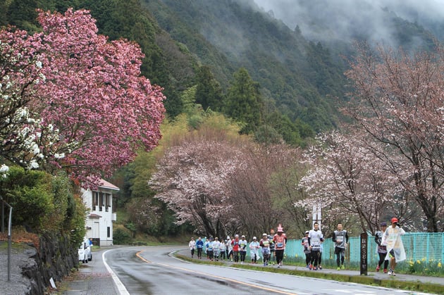 Photo of 四万十川桜マラソン - 3 / 25