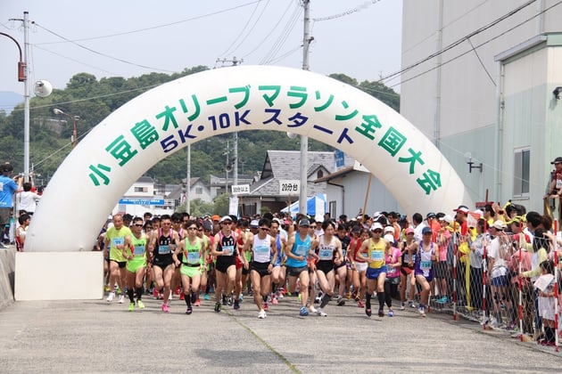 Photo of 小豆島オリーブマラソン全国大会 - 4 / 8