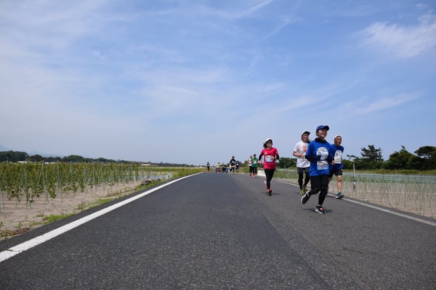 Photo of すいか・ながいも健康マラソン大会 - 4 / 8