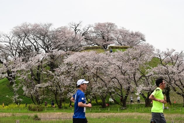 Photo of 行田市 鉄剣マラソン大会 - 1 / 3