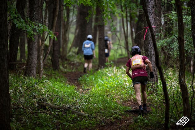 Photo of THREE PEAKS YATSUGATAKE TRAIL - 2 / 34
