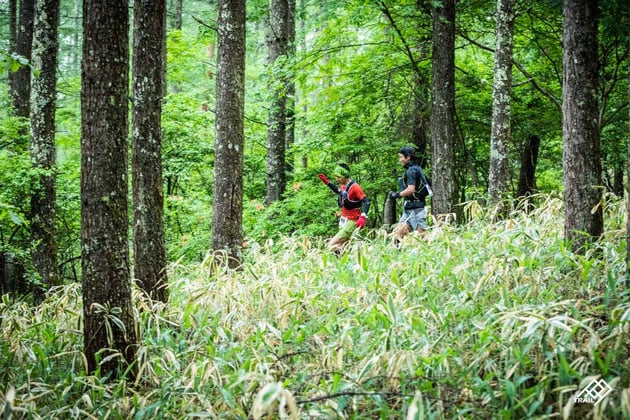 Photo of THREE PEAKS YATSUGATAKE TRAIL - 5 / 29