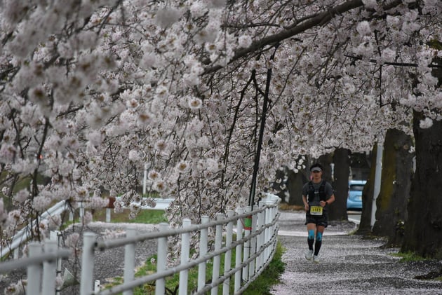 Photo of 山寺蔵王ウルトラジャーニー - 4 / 18