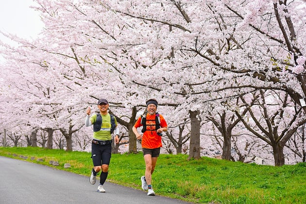 Photo of 山寺蔵王ウルトラジャーニー - 1 / 18